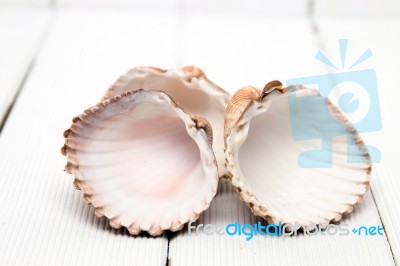 Several Clam Shells Isolated Stock Photo