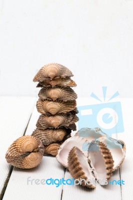 Several Clam Shells Isolated Stock Photo