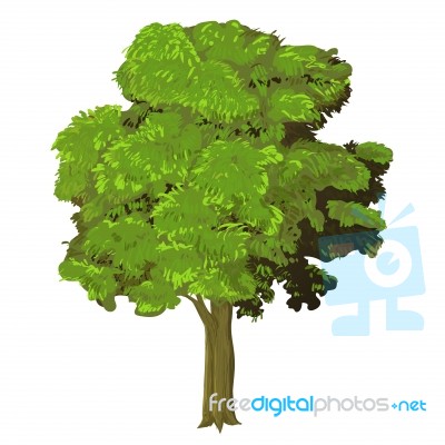 Sg171004a-illustration Of Tree -  Illustration Stock Image