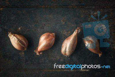 Shallots  On The  Old Metal Background Stock Photo