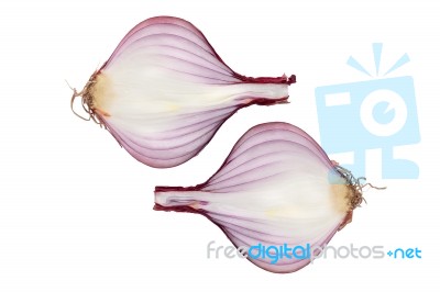 Shallots Still Life White Background Stock Photo