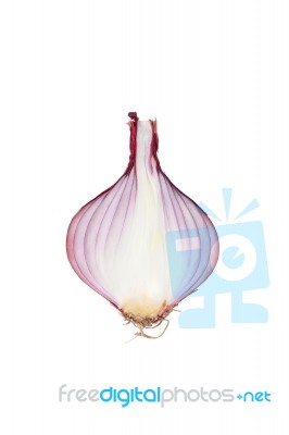 Shallots Still Life White Background Stock Photo