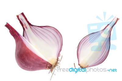 Shallots Still Life White Background Stock Photo