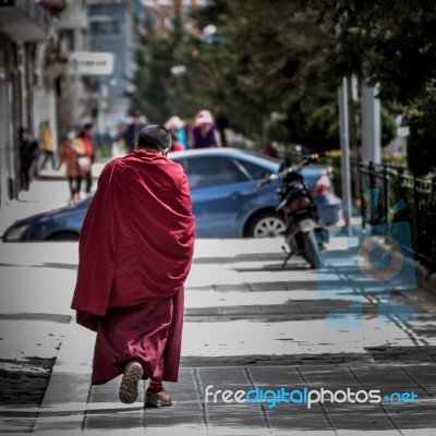 Shangri-la, China - April 20, 2016:lama Are Walking In The City Stock Photo