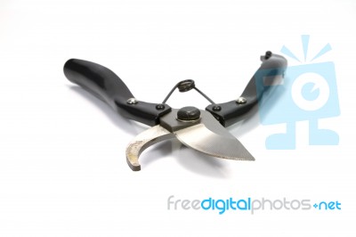 Shears Stock Photo