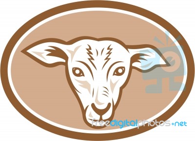 Sheep Head Oval Cartoon Stock Image