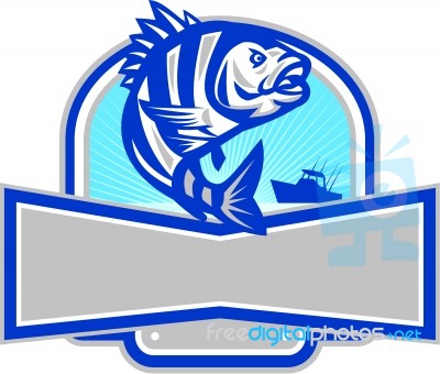 Sheepshead Fish Jumping Fishing Boat Banner Retro Stock Image