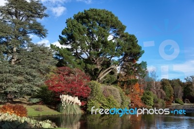 Sheffield Park Gardens Stock Photo