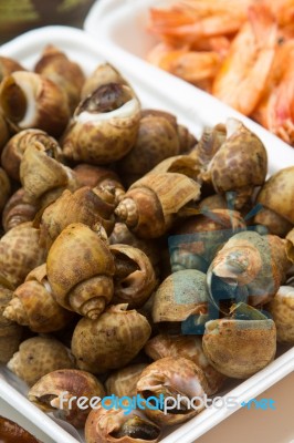 Shellfish Stock Photo