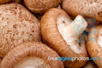 Shiitake Mushrooms Stock Photo