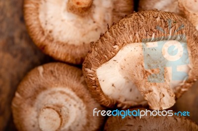 Shiitake Mushrooms Stock Photo