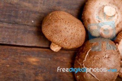 Shiitake Mushrooms Stock Photo