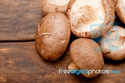 Shiitake Mushrooms Stock Photo