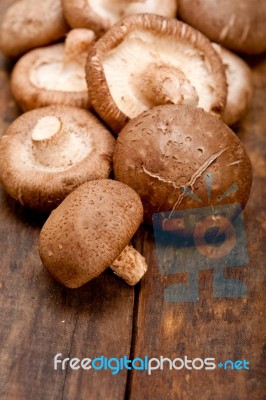 Shiitake Mushrooms Stock Photo