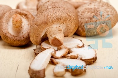 Shiitake Mushrooms Stock Photo