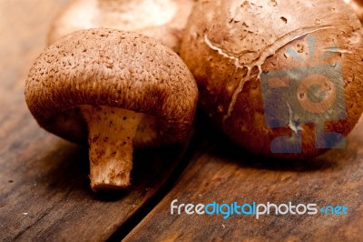 Shiitake Mushrooms Stock Photo