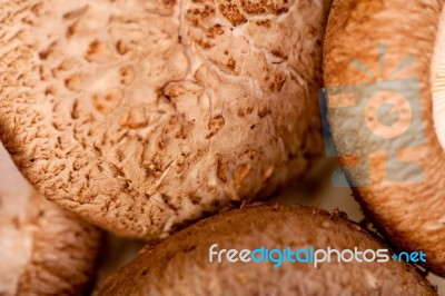 Shiitake Mushrooms Stock Photo