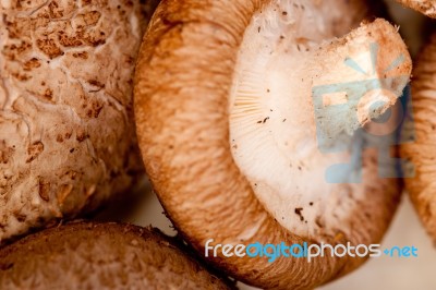 Shiitake Mushrooms Stock Photo