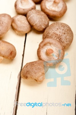 Shiitake Mushrooms Stock Photo