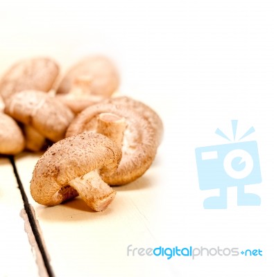 Shiitake Mushrooms Stock Photo