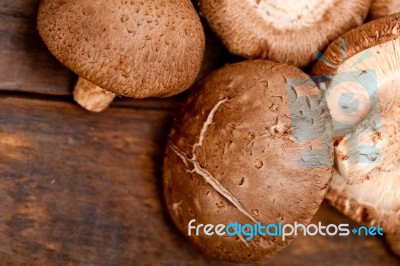 Shiitake Mushrooms Stock Photo