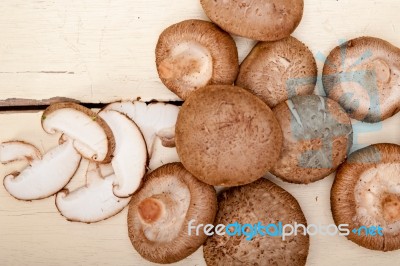 Shiitake Mushrooms Stock Photo