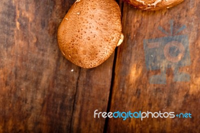 Shiitake Mushrooms Stock Photo