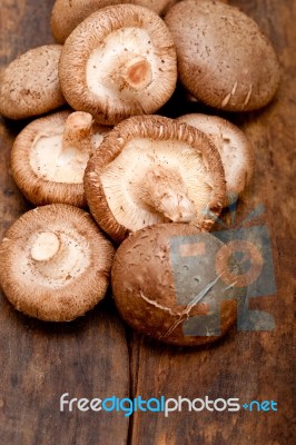 Shiitake Mushrooms Stock Photo