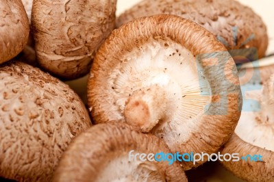 Shiitake Mushrooms Stock Photo