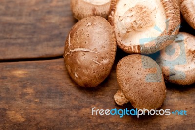 Shiitake Mushrooms Stock Photo