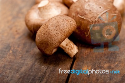 Shiitake Mushrooms Stock Photo