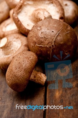 Shiitake Mushrooms Stock Photo