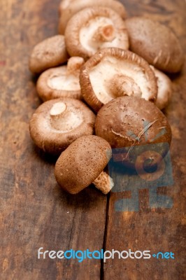 Shiitake Mushrooms Stock Photo