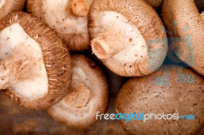 Shiitake Mushrooms Stock Photo