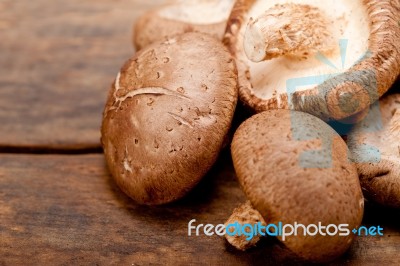 Shiitake Mushrooms Stock Photo