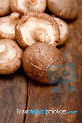 Shiitake Mushrooms Stock Photo