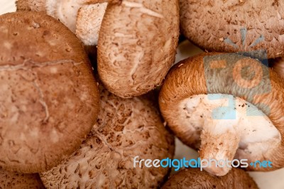 Shiitake Mushrooms Stock Photo