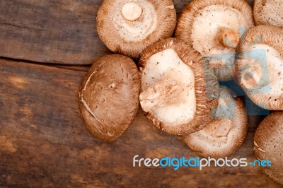 Shiitake Mushrooms Stock Photo