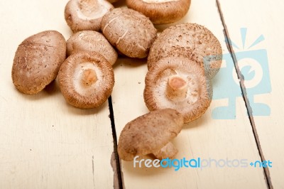 Shiitake Mushrooms Stock Photo