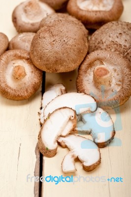 Shiitake Mushrooms Stock Photo