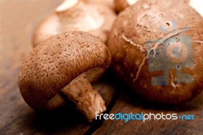 Shiitake Mushrooms Stock Photo