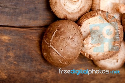 Shiitake Mushrooms Stock Photo