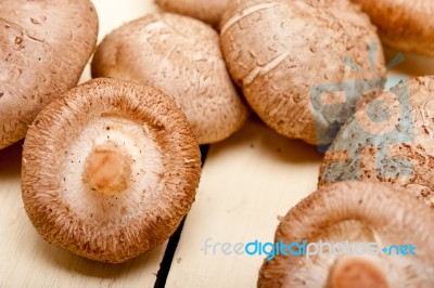 Shiitake Mushrooms Stock Photo