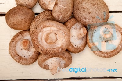 Shiitake Mushrooms Stock Photo