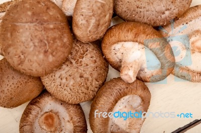 Shiitake Mushrooms Stock Photo