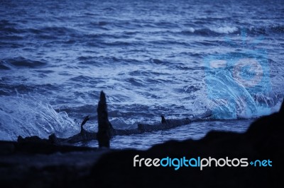 Shipwreck Of Hmqs Gayundah Stock Photo