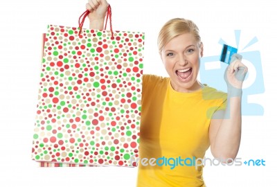 Shopping Lady With Credit Card Stock Photo