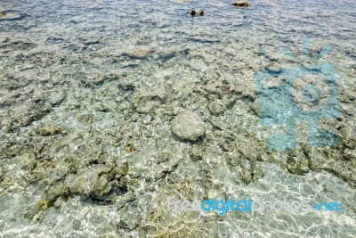 Shore Coral Reefs Stock Photo