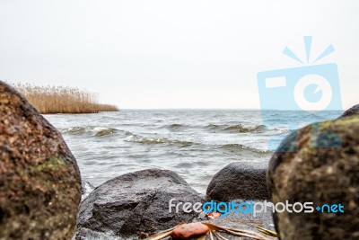 Shore Of The Lake In Autumn Stock Photo