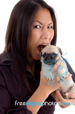 Shouting Female Holding Puppy Stock Photo